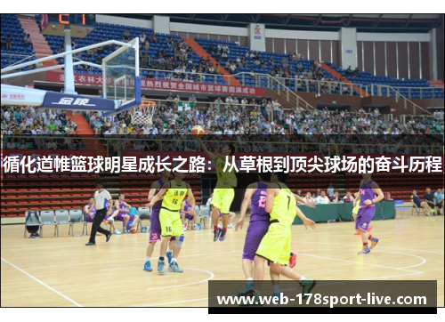 循化道帷篮球明星成长之路:从草根到顶尖球场的奋斗历程
