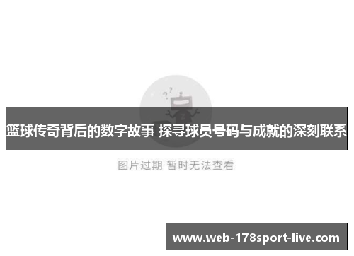 篮球传奇背后的数字故事 探寻球员号码与成就的深刻联系
