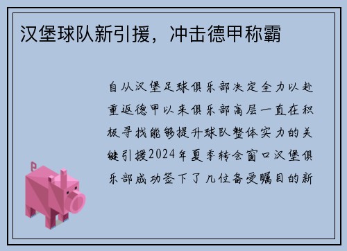 汉堡球队新引援,冲击德甲称霸