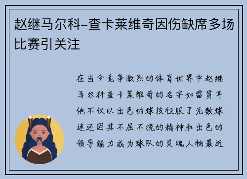 赵继马尔科-查卡莱维奇因伤缺席多场比赛引关注